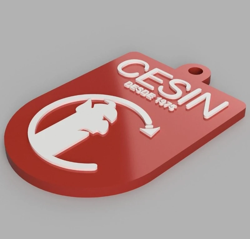Llavero personalizado CESIN — logo e isotipo en 3D